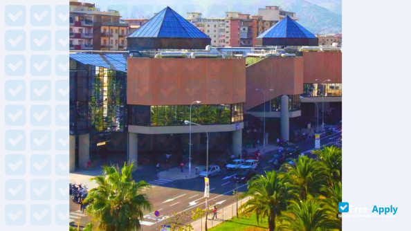 Photo de l’University of Palermo #4