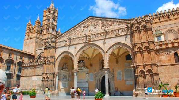 Photo de l’University of Palermo #2