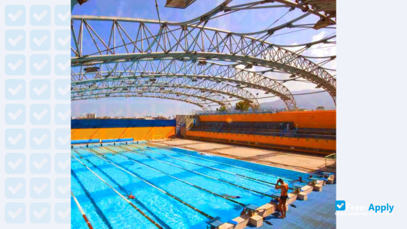 Photo de l’University of Palermo #5