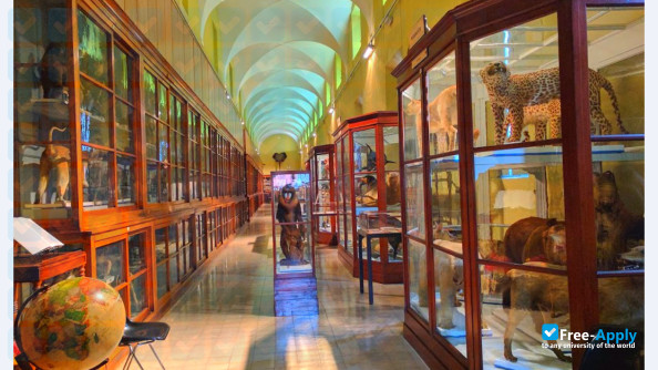 University of Parma photo #3