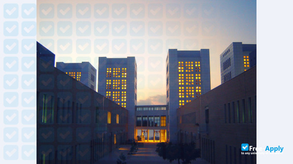 University of Reggio Calabria photo #5