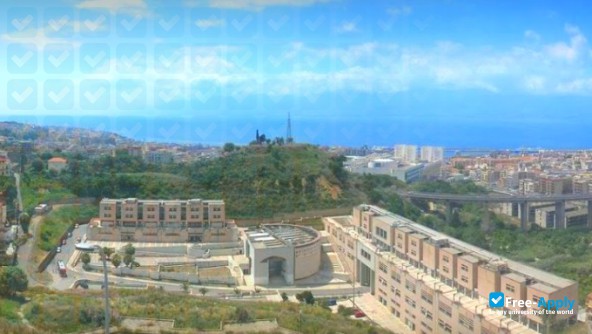 University of Reggio Calabria photo #3