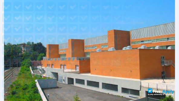 Foto de la University of Rome III #8