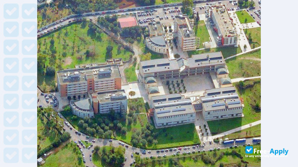 Photo de l’University of Salento #3