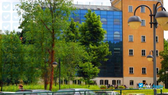University of Trieste photo #4