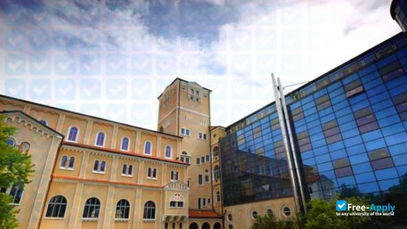 University of Trieste photo