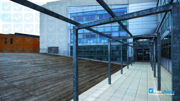 University of Trieste photo #3