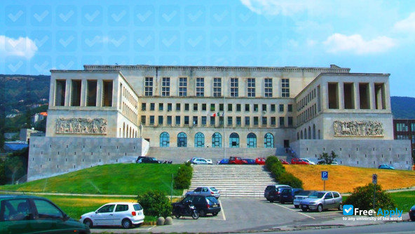 University of Trieste photo #2