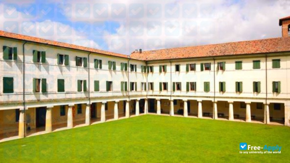 University of Trieste photo #5