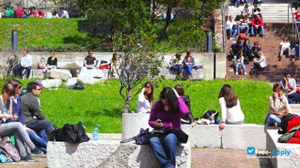 University of Trieste photo #7