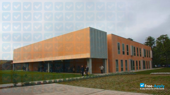 Photo de l’University of Udine #8