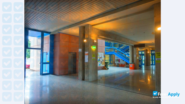 Photo de l’University of Udine #3