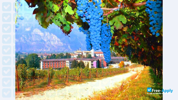 Edmund Mach Foundation of San Michele all'Adige (Agrarian Institute) photo #5