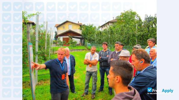 Photo de l’Edmund Mach Foundation of San Michele all'Adige (Agrarian Institute) #6