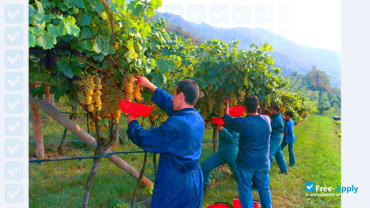 Edmund Mach Foundation of San Michele all'Adige (Agrarian Institute) photo #2