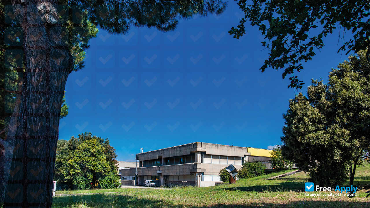Foto de la University of Rome "Tor Vergata" #5