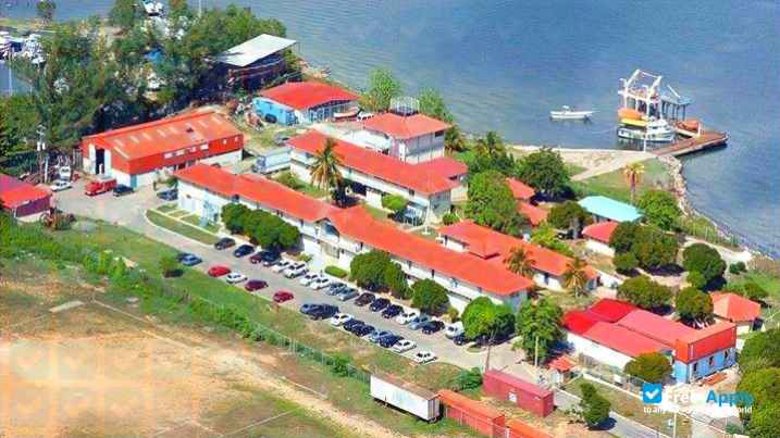 Photo de l’Caribbean Maritime Institute #5