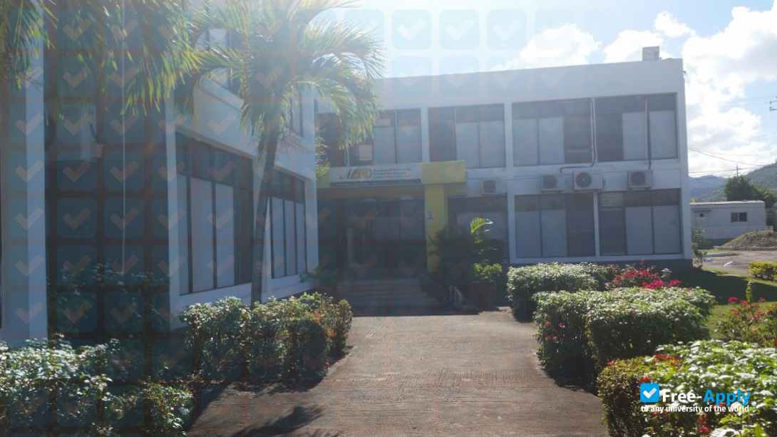 Management Institute for National Development photo #12