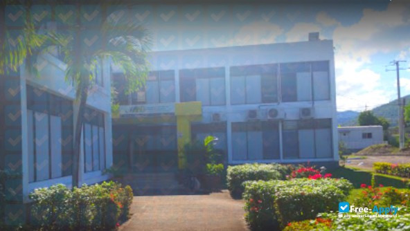 Management Institute for National Development photo #6