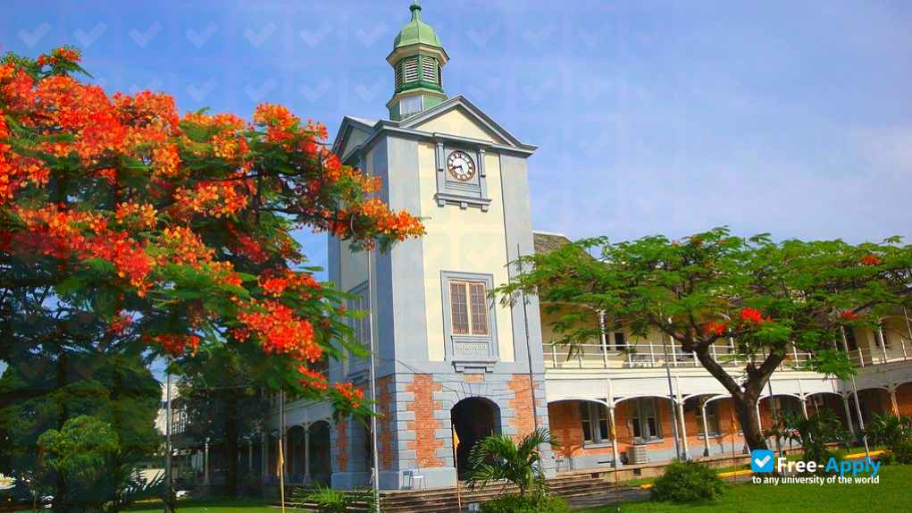 Mico University College photo #7
