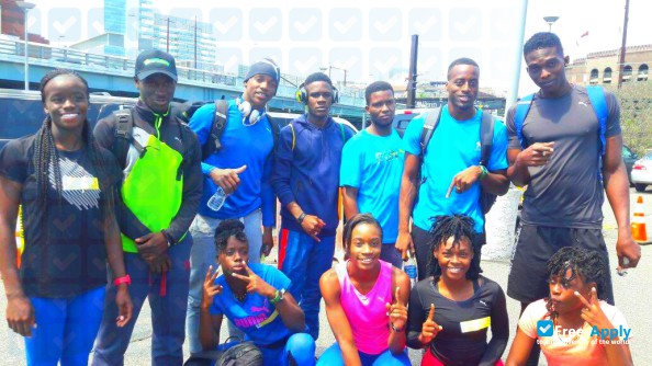 Mico University College photo #2