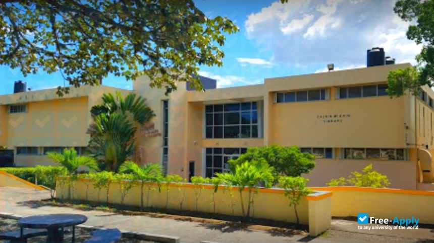 University of Technology, Jamaica photo #9