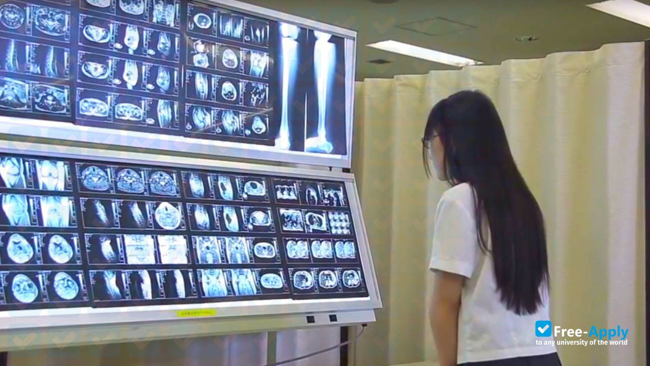 Foto de la Ibaraki Prefectural University of Health Sciences #3