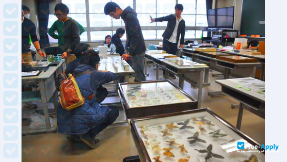 Photo de l’Ibaraki University #14