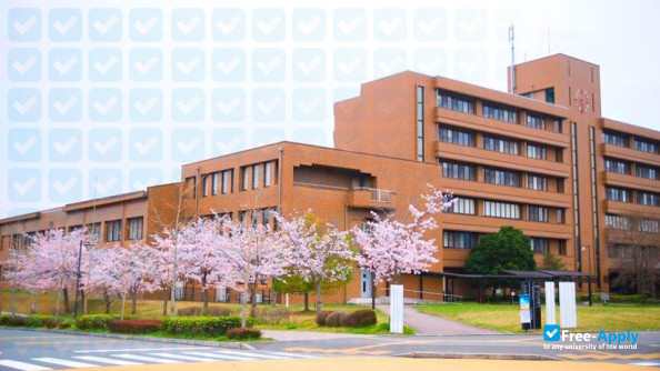 Hiroshima University photo #8