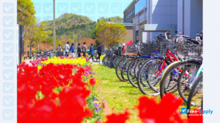 Hiroshima University thumbnail #7