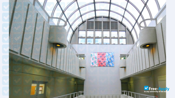 Aino University photo #5