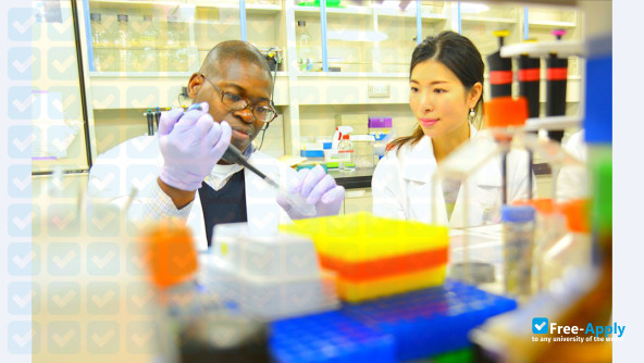 Juntendo University photo #2