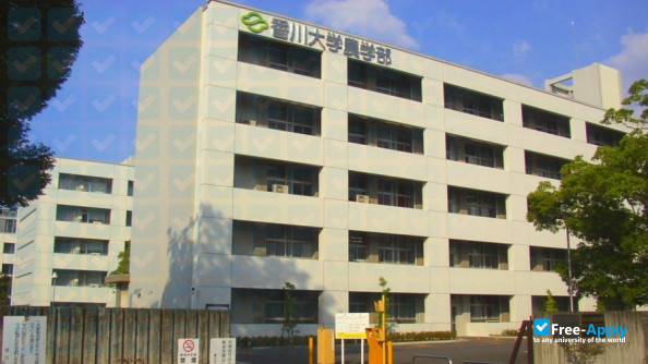 Kagawa University фотография №1