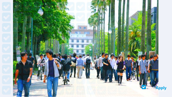 Photo de l’Kagoshima University #4