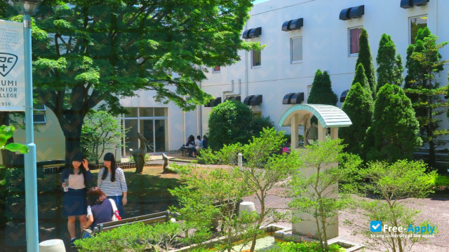 Izumi Junior College photo #4