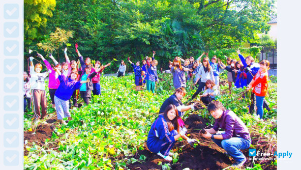 Izumi Junior College photo #10