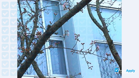 Kawamura Gakuen Women's University photo #8