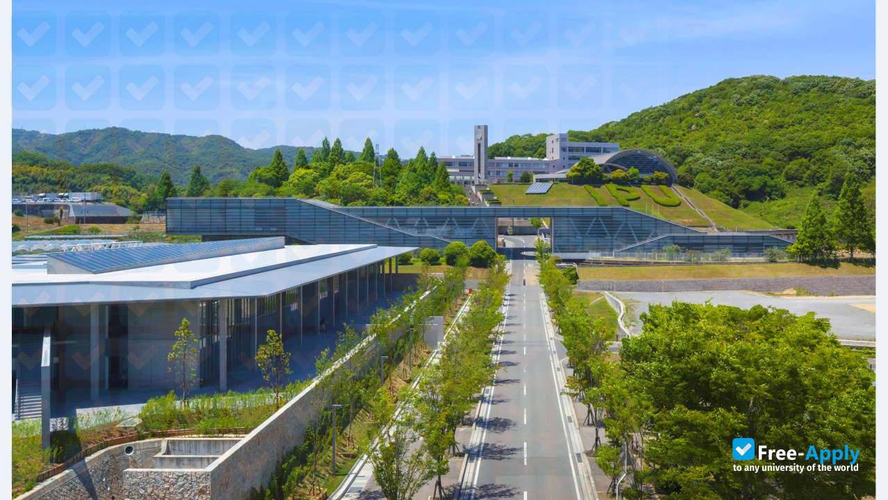 Foto de la International Pacific University #6