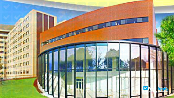 Kawasaki Medical School фотография №5
