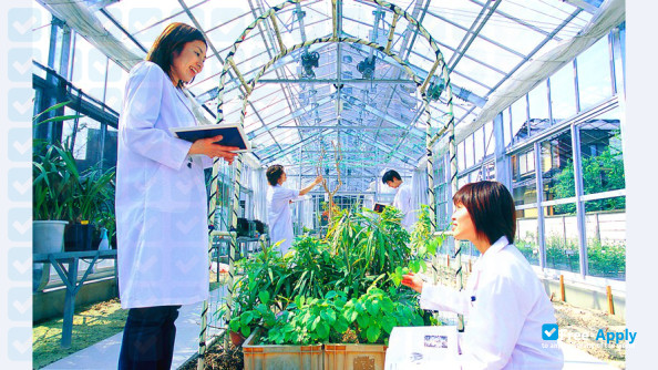 Daiichi College of Pharmaceutical Sciences фотография №2