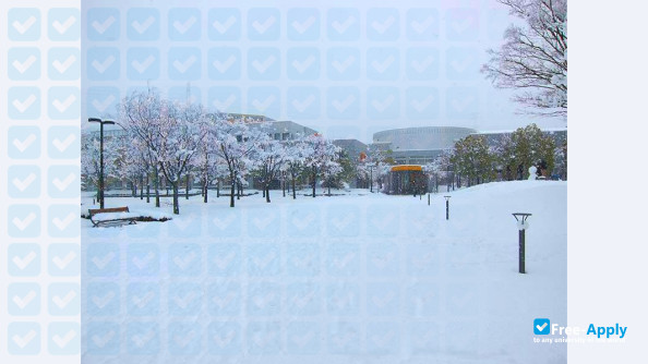 Photo de l’Nara Institute of Science & Technology