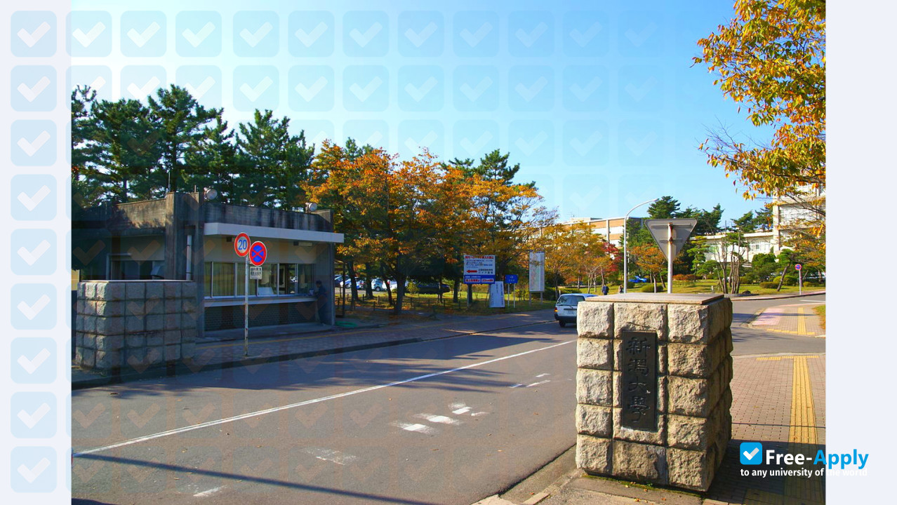 Niigata University photo #4