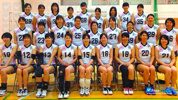 Kobe Shinwa Women's University photo