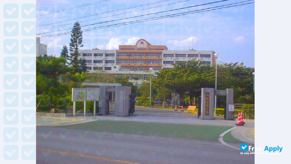 Okinawa International University фотография №2