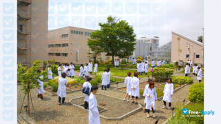 Health Sciences University of Hokkaido vignette #4