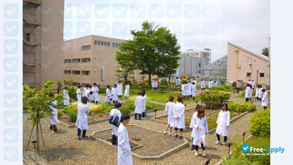Foto de la Health Sciences University of Hokkaido
