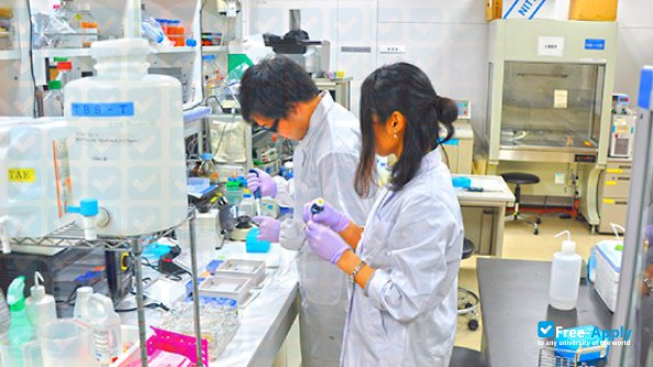 Jichi Medical Schoo photo #2