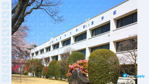 Jichi Medical Schoo photo #4