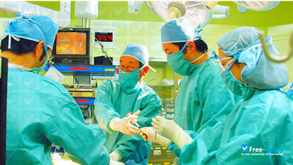 Japanese Red Cross Toyota College of Nursing photo #6