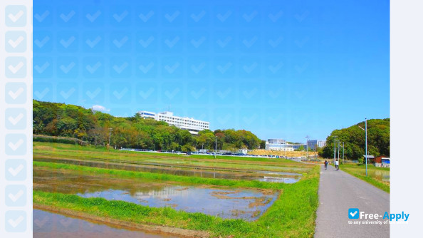 Photo de l’Nihon Fukushi University #25